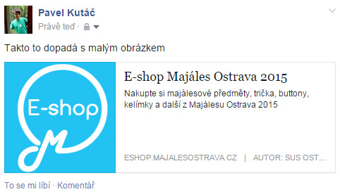 Malý obrázek na Facebooku
